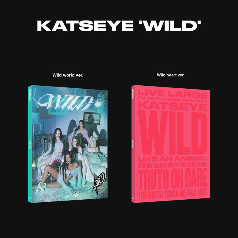 KATSEYE WILD STANDARD