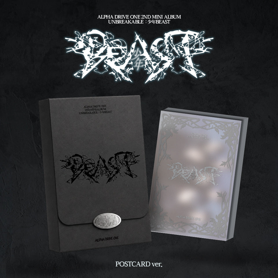 ALPHA DRIVE ONE 2ND MINI ALBUM [UNBREAKABLE : 少年BEAST] POSTCARD Ver.